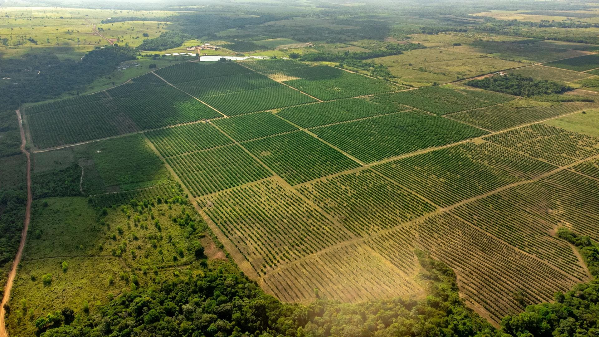 Vista aérea de propriedades rurais
